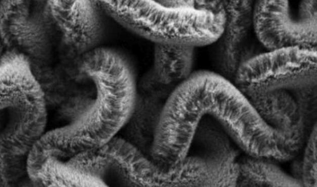 行业新闻：可拉伸的超等电容器，为柔性可穿戴设备铺路