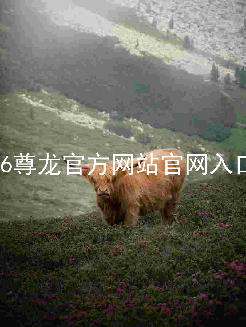 Z6尊龙官方网站官网入口