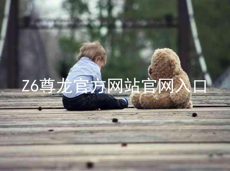 Z6尊龙官方网站官网入口